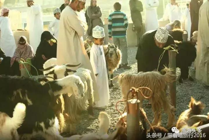 阿曼落地签中国,去阿曼落地签