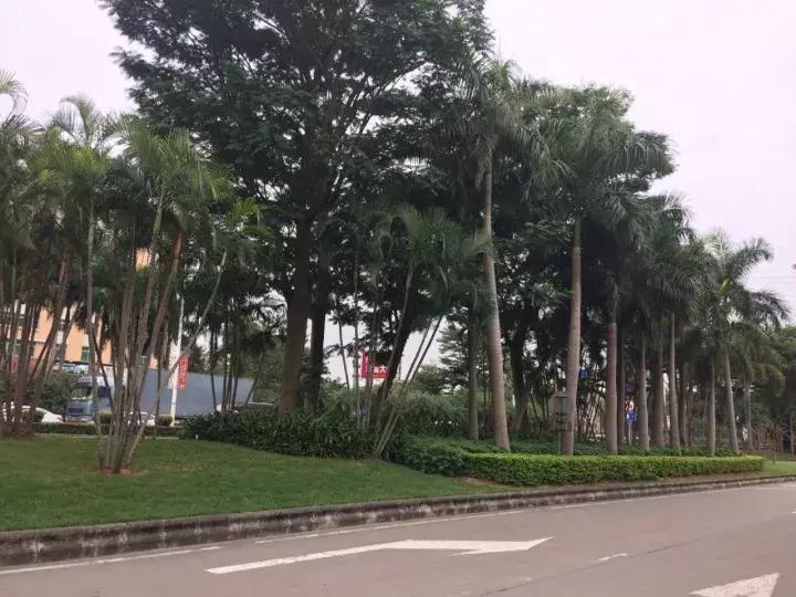 石家庄女子婚恋网,女子婚恋网交友不慎被骗149万