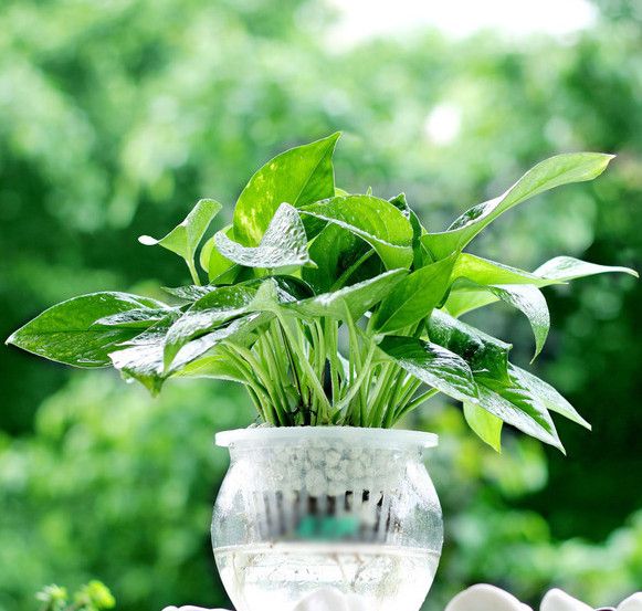 搬新家去甲醇，知道方法可别轻忽了到底怎么做