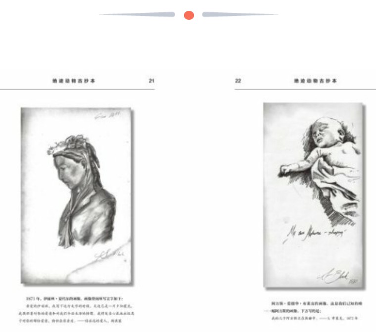 关于解剖美人鱼的电影解说,解剖美人鱼成功视频