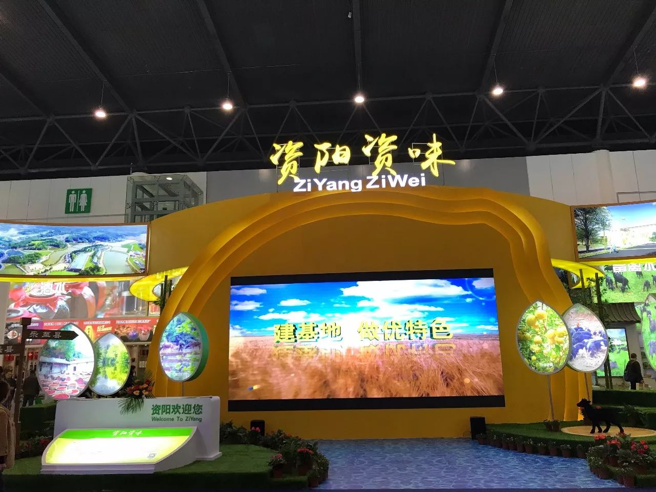 田田深入2017四川农博会，逛一圈，胖5斤！