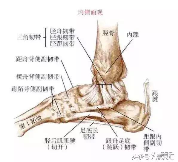 踝关节扭伤正确处理方法是,董氏奇穴治疗踝关节扭伤