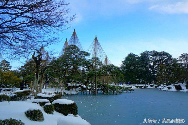 逆天的老人,逆天老人视频