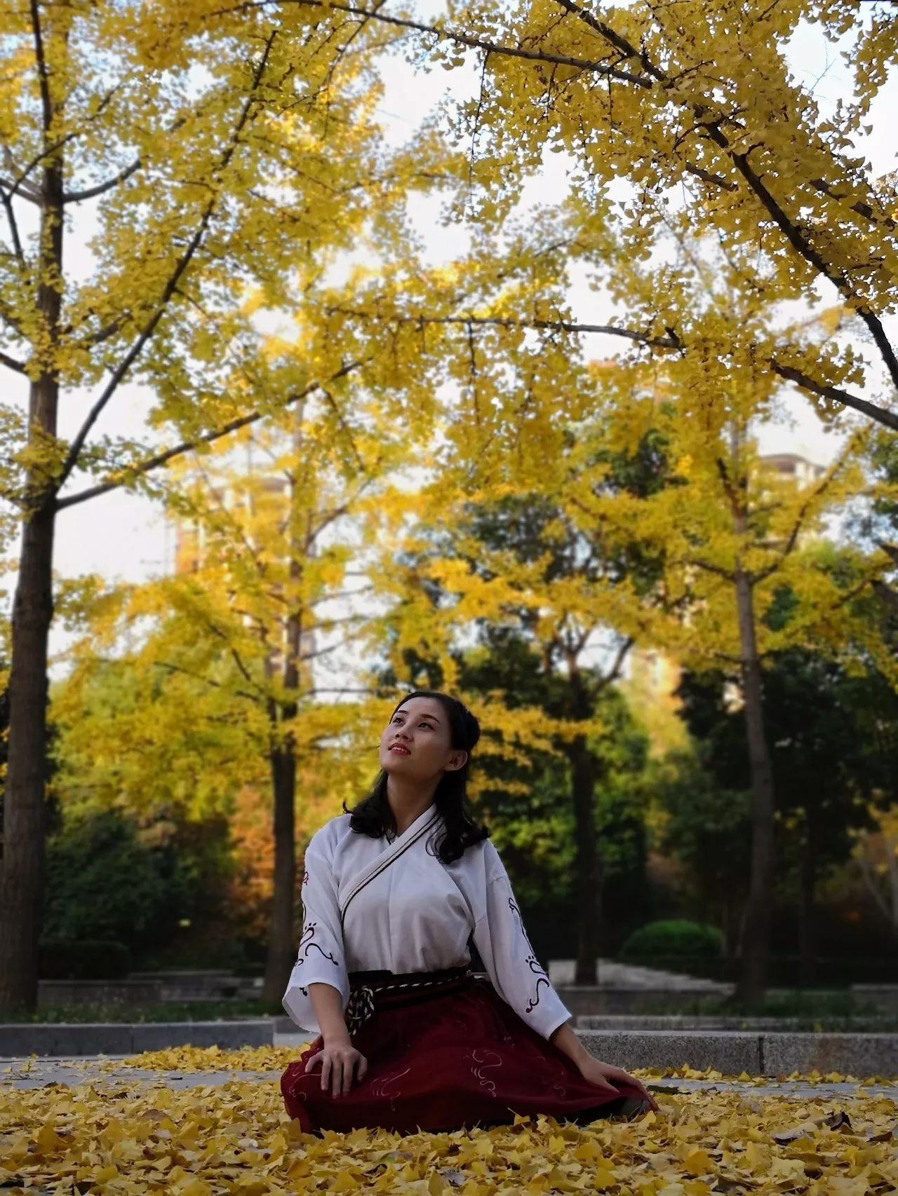 我在许昌很想你,好想好想遇见你