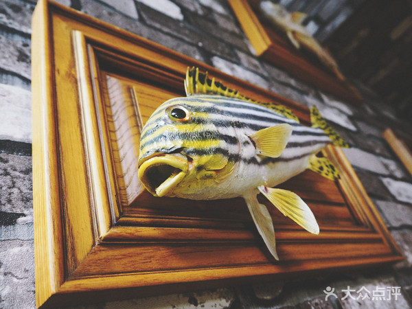 表白被拒的心，只有这家的海鲜刺身可以治愈