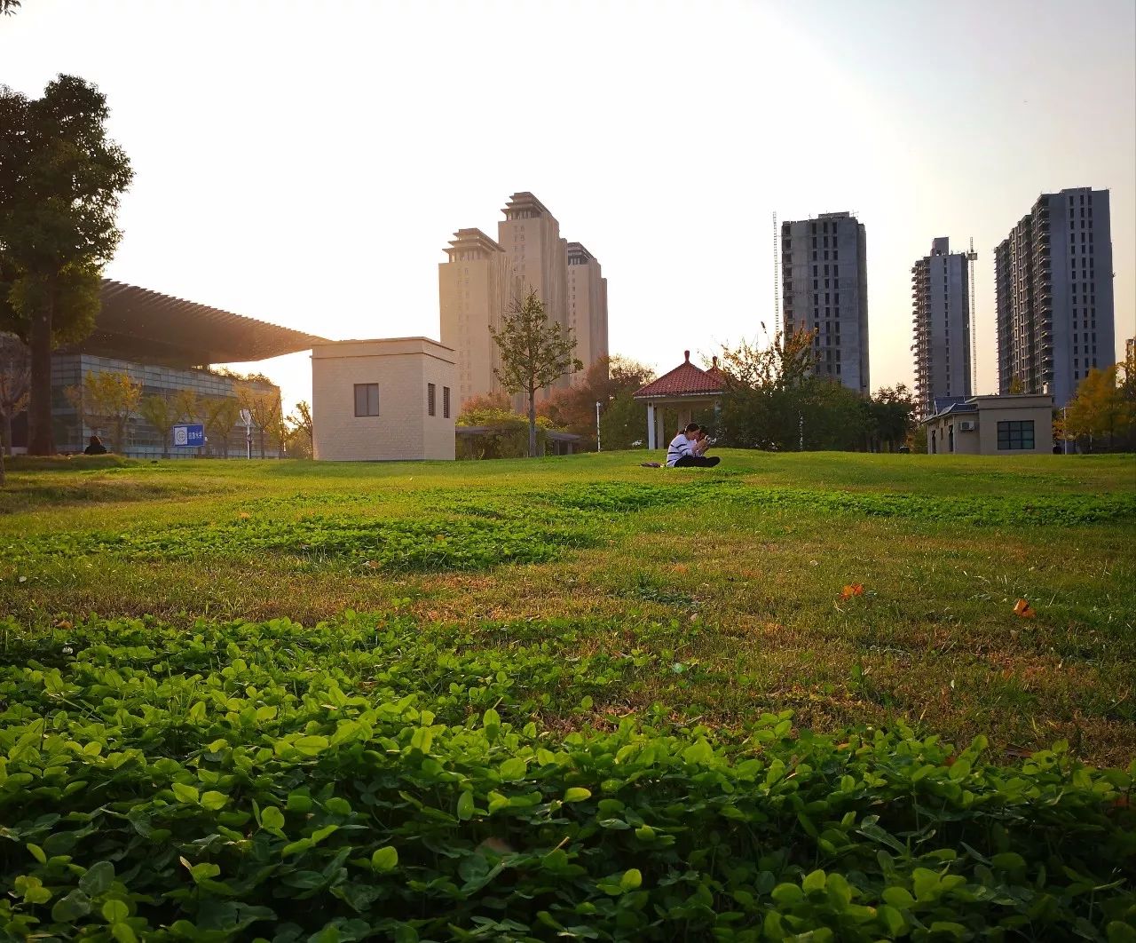 我在许昌很想你,好想好想遇见你