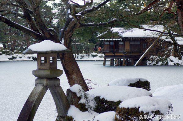 逆天的老人,逆天老人视频