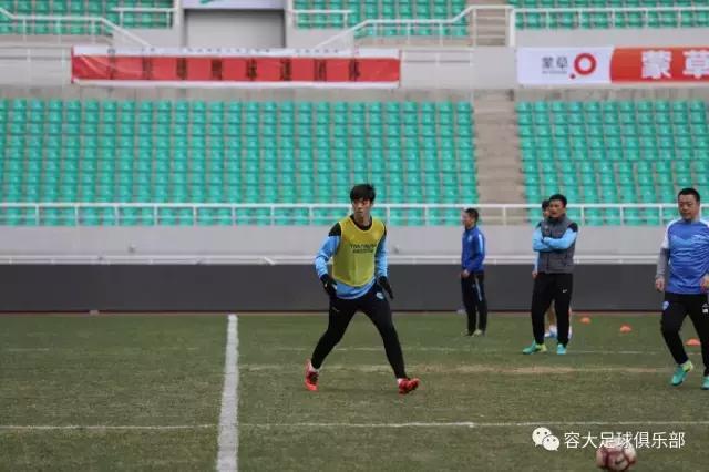 内蒙古小草,内蒙古小草讲的是什么