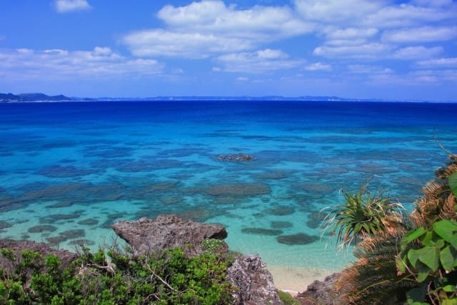 冲绳必买小礼品是什么,冲绳手信十大必买