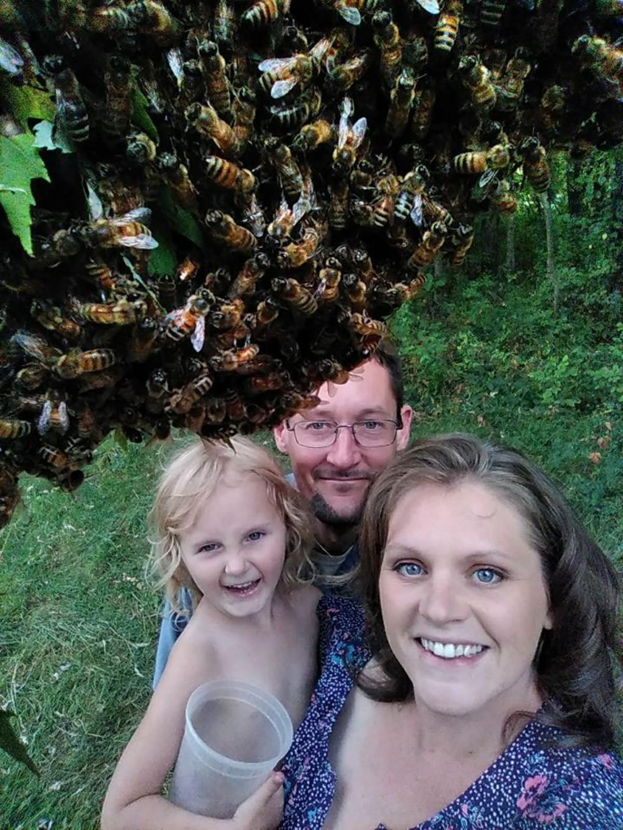 怀孕了被家蜂蛰了对胎儿有影响吗,孕妇被马蜂蛰了一下