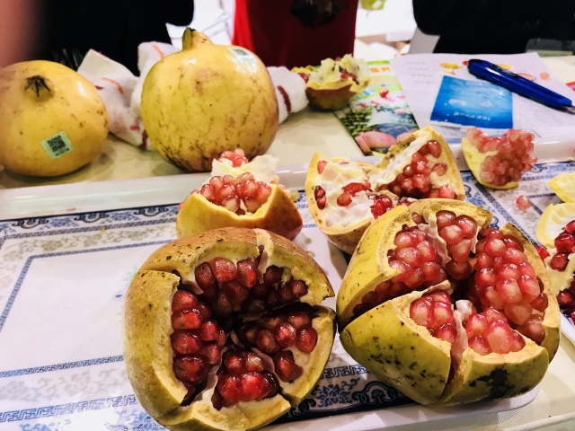 田田深入2017四川农博会，逛一圈，胖5斤！