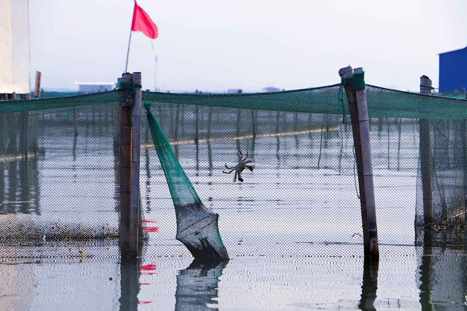 鑻忓窞闃虫緞婀栫編鍛崇壒浜уぇ闂歌煿,鑻忓窞鍚冮槼婢勬箹澶ч椄锜圭殑閰掑簵鎺ㄨ崘