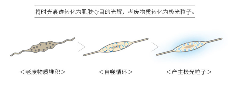 pola护肤品套装测评,日本高端化妆品品牌pola