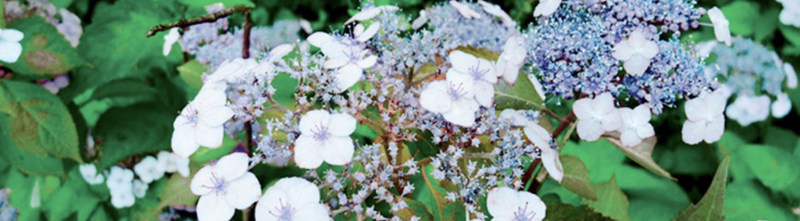 pola护肤品套装测评,日本高端化妆品品牌pola