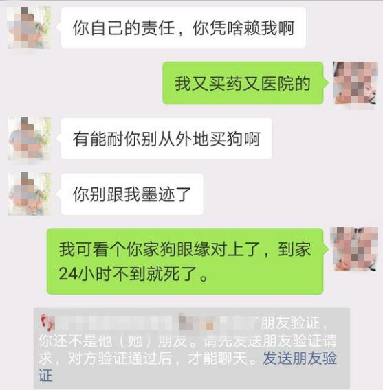 网友买了博美犬不到一天就死了，卖家：有能耐你别从外地买狗