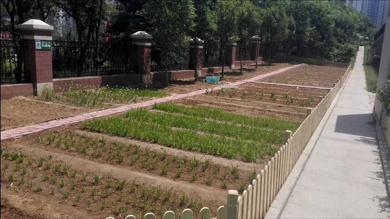 这样的小学，你见过吗？一步一景，源自“推墙运动”