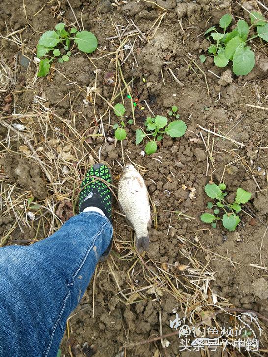 携好友出征私留地天虽冷鱼情很给力