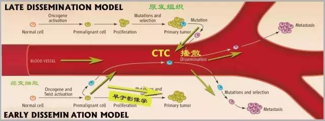肿瘤活检病理准确率高吗,肿瘤检测石蜡和活检哪个准确率高