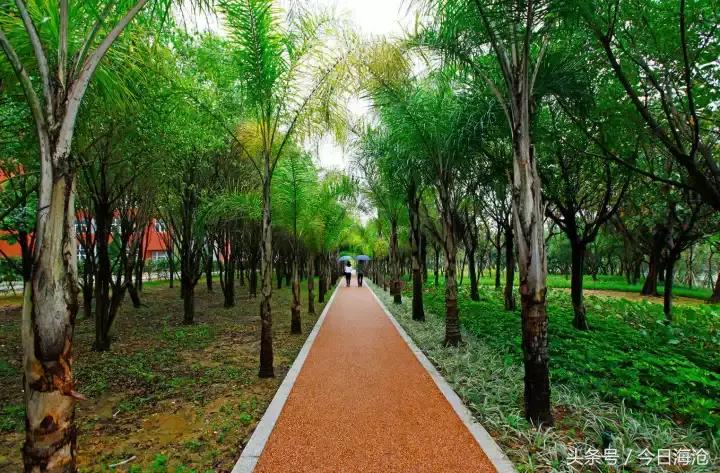 海沧半马攻略,厦门海沧半马参赛