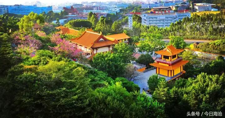 海沧半马攻略,厦门海沧半马参赛