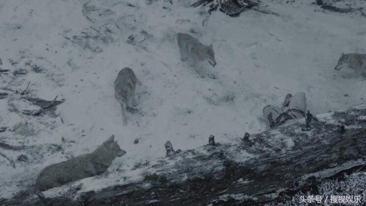 九州海上牧云记看点,九州海上牧云记高光时刻