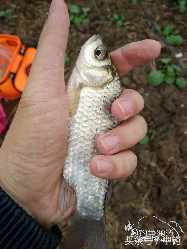 携好友出征私留地天虽冷鱼情很给力