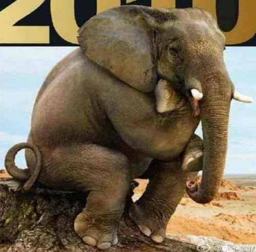 人有三急最急的是什么,一分钟快速排便小妙招