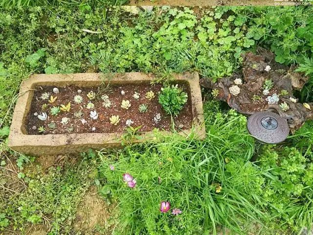 周末野钓好去处,重庆高山避暑垂钓