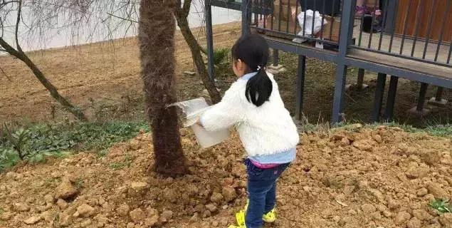 周末野钓好去处,重庆高山避暑垂钓