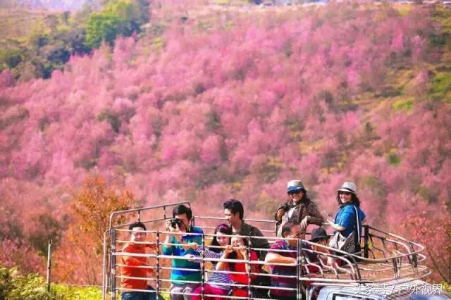 泰国自驾游要办哪些手续,泰国深度自驾线路推荐