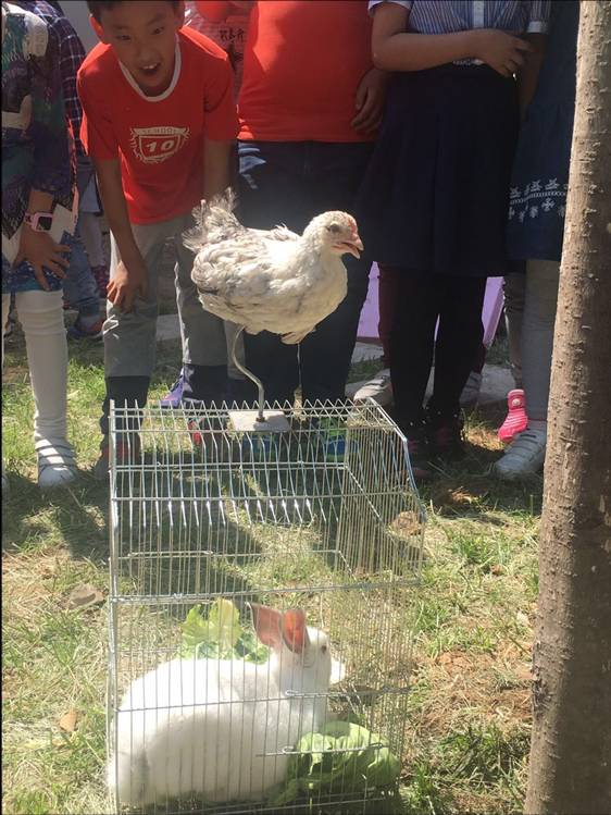 这样的小学，你见过吗？一步一景，源自“推墙运动”