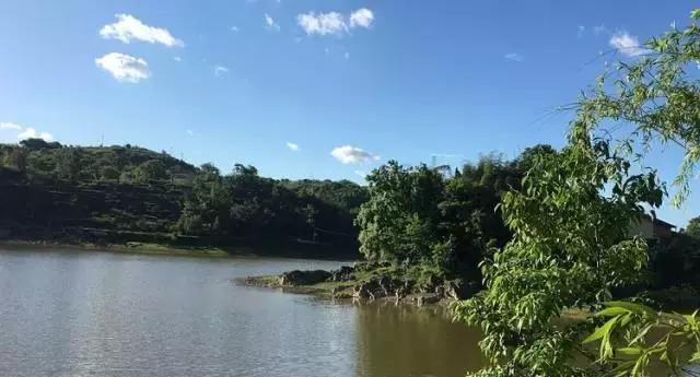 周末野钓好去处,重庆高山避暑垂钓