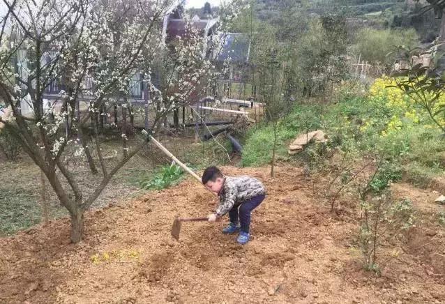 周末野钓好去处,重庆高山避暑垂钓