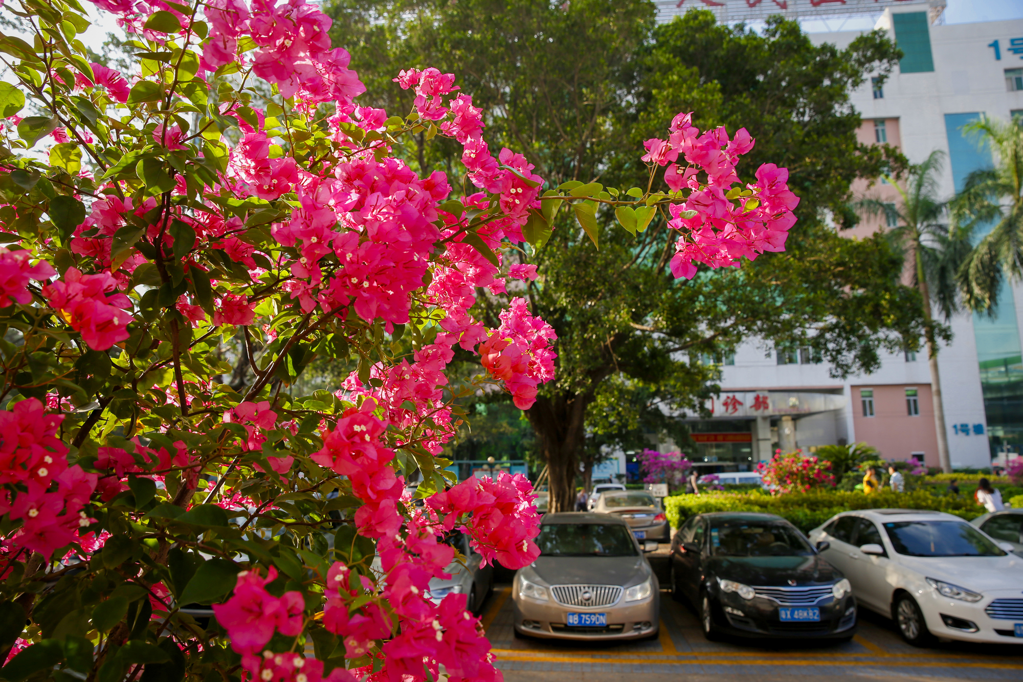 专栏答疑：出现剖宫产瘢痕憩室，还能再生育吗？