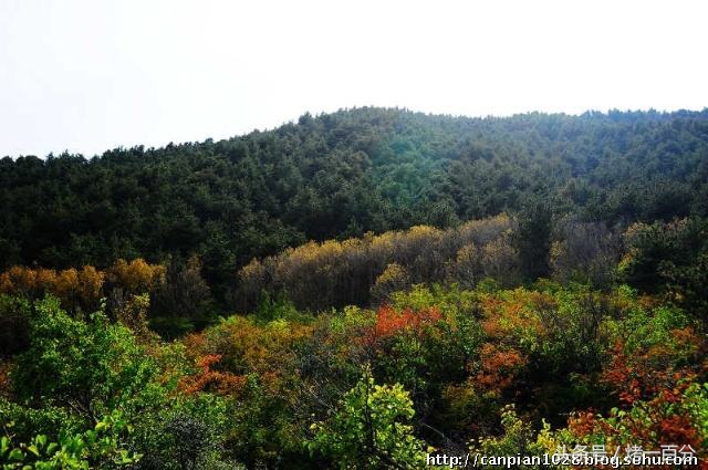 吴忠好玩的地方,吴忠旅游攻略一日游