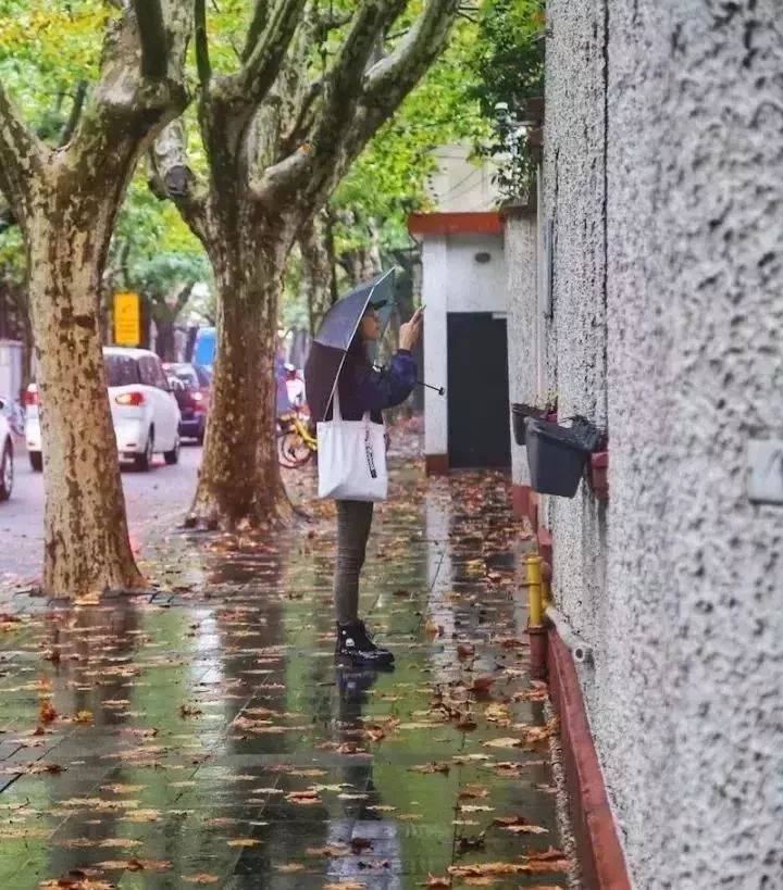 2017余额不足！上海年底前的30件大事，将影响你的2018年！