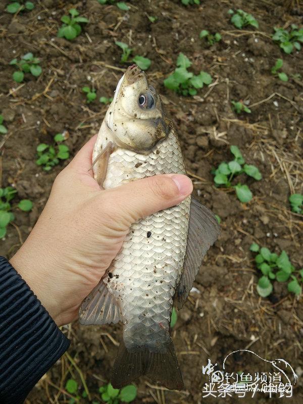 携好友出征私留地天虽冷鱼情很给力