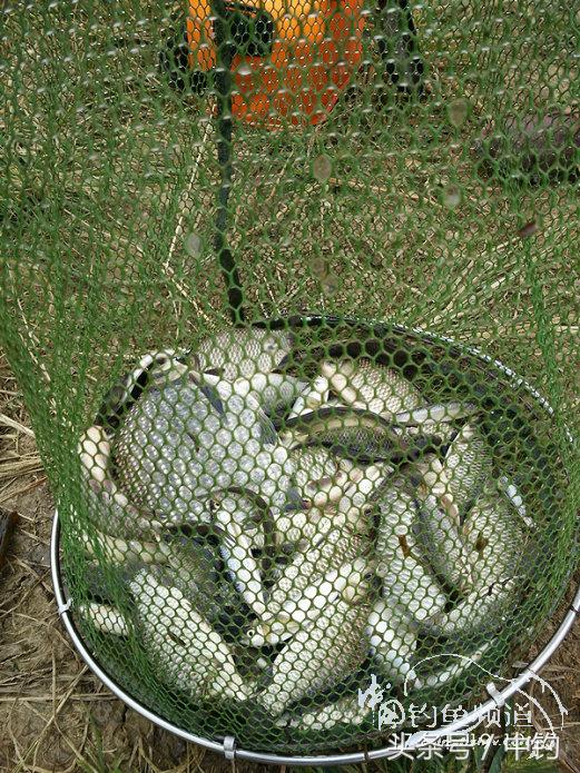 携好友出征私留地天虽冷鱼情很给力