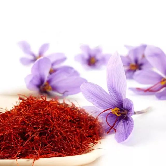 超美味的伴手礼推荐,平价又高级成人伴手礼推荐