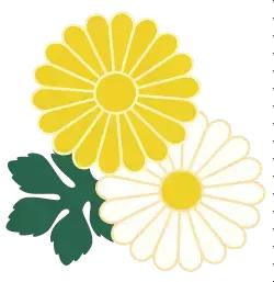 行测错多少个才能上70分,行测一直不提分怎么办