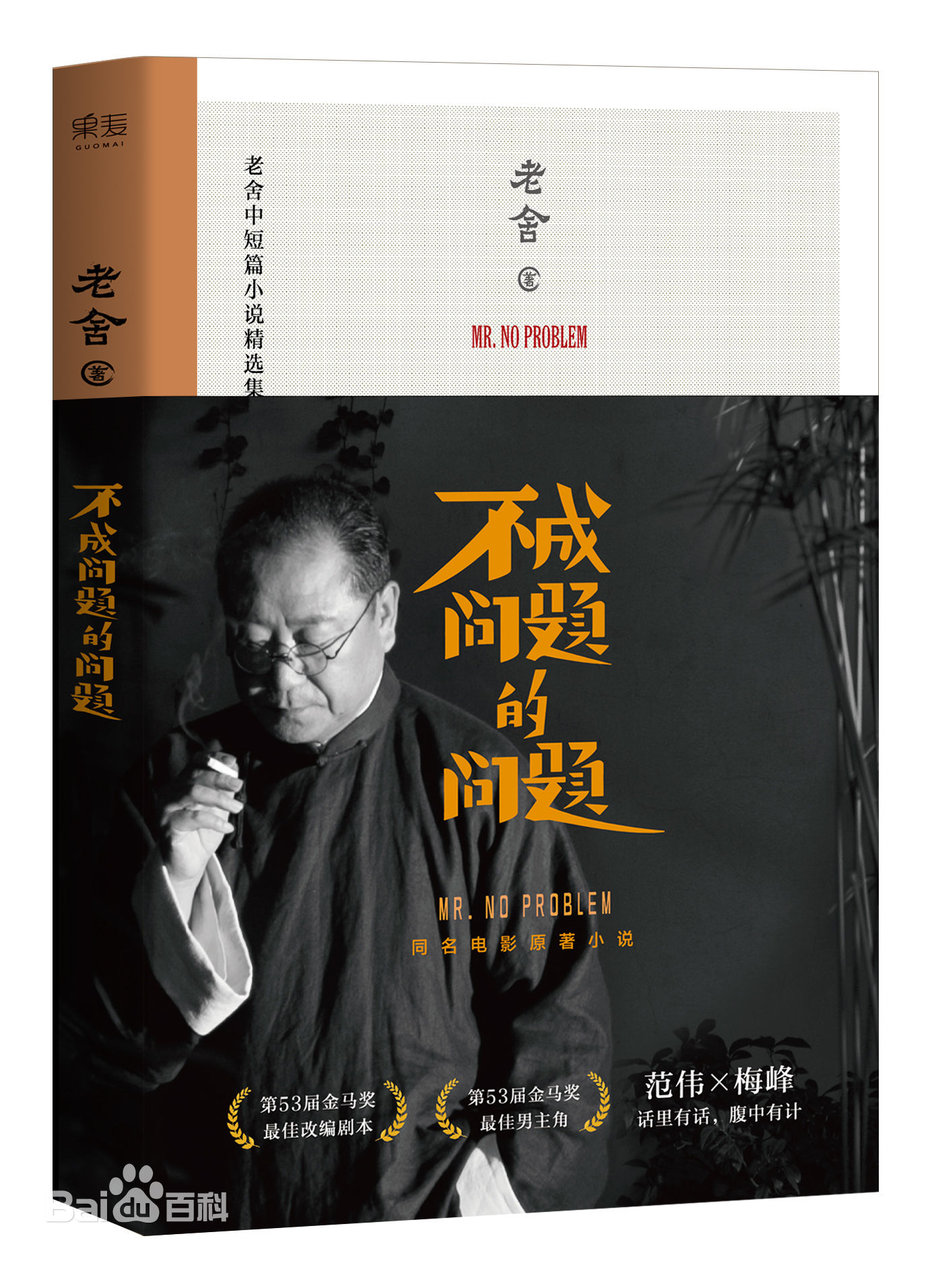 不成问题的问题深度解析,不成问题的问题完整版免费