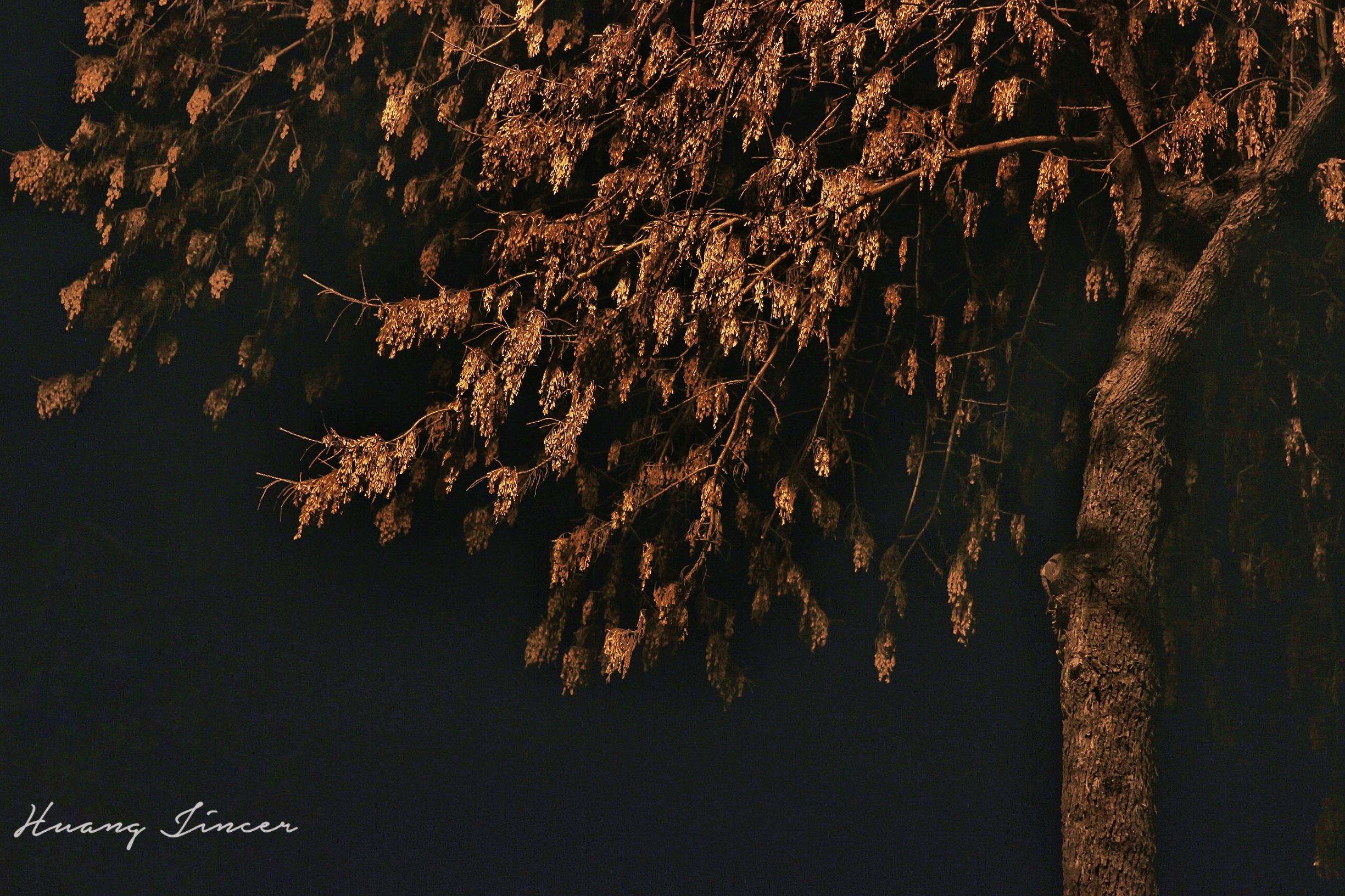 扫大街专用工具,扫大街必备神器