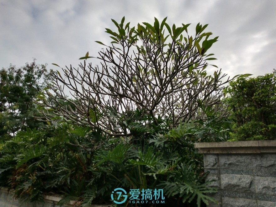 vivox20全面屏,vivox20plus