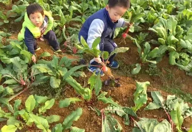 周末野钓好去处,重庆高山避暑垂钓