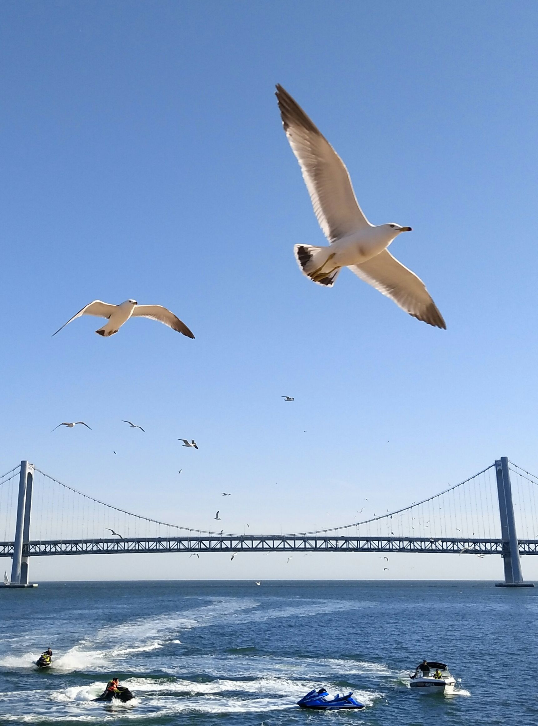 手拍世界（手机摄影沟通平台）-群员作品集（第12期）