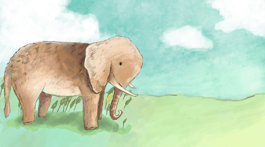 一直在减肥从来未成功,一直在减肥却从来没减过一斤八两