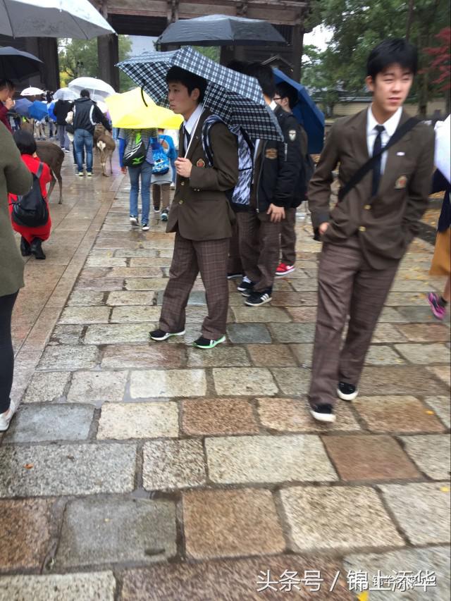 去日本旅游最全攻略,去日本旅游必看