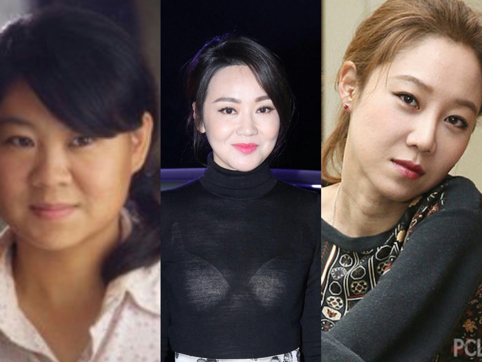 闫妮和沈春阳像吗 (闫妮和沈春阳谁漂亮)