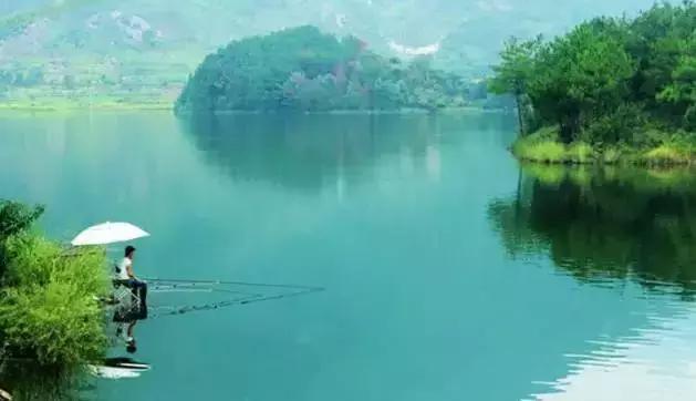 周末野钓好去处,重庆高山避暑垂钓
