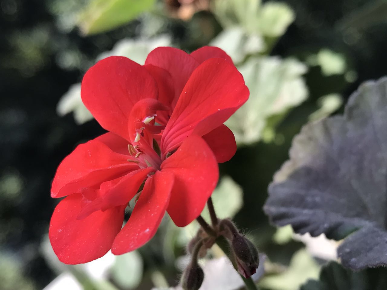 手拍世界（手机摄影沟通平台）-群员作品集（第12期）